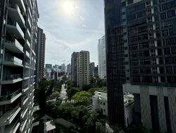 The Laurels (D9), Condominium #563739401